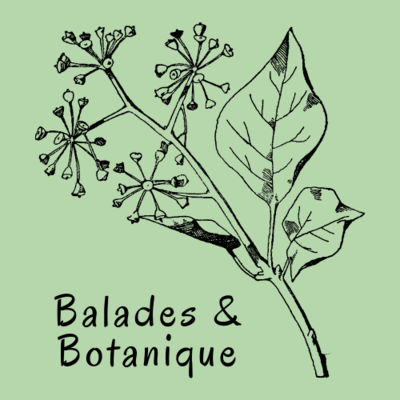 Balade et Botanique